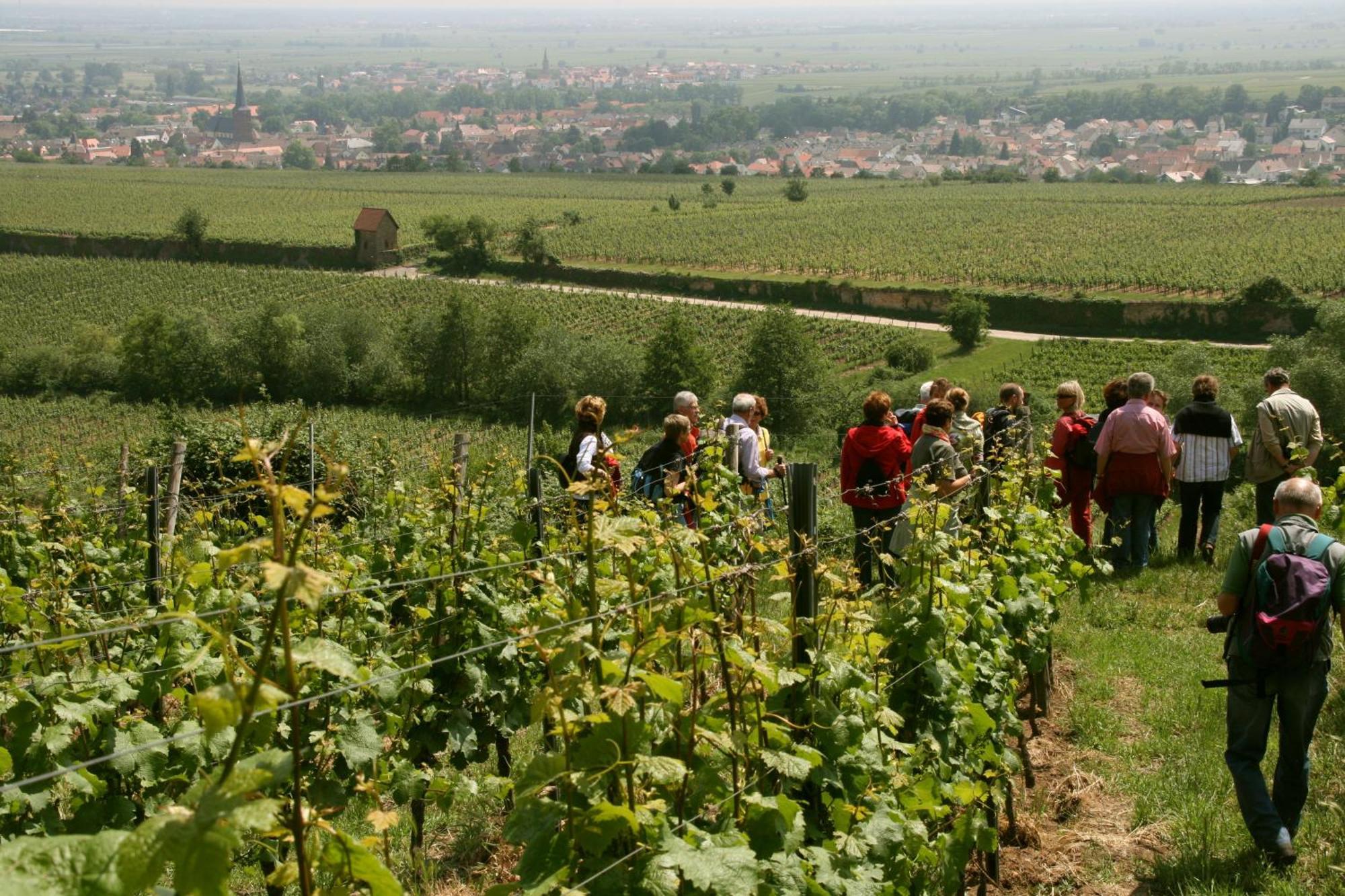 Hotel Goldbaechel Wachenheim an der Weinstraße Buitenkant foto