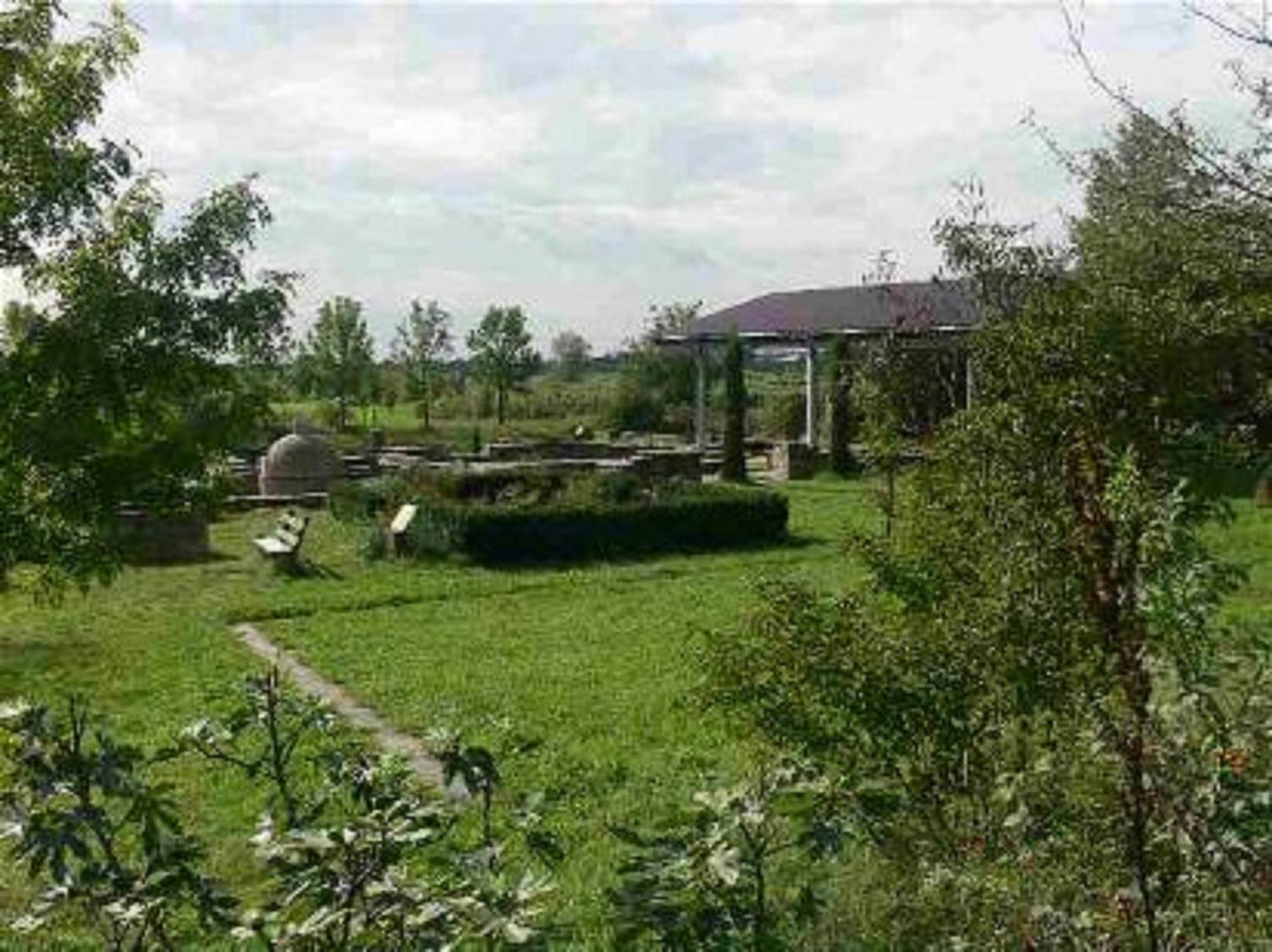 Hotel Goldbaechel Wachenheim an der Weinstraße Buitenkant foto
