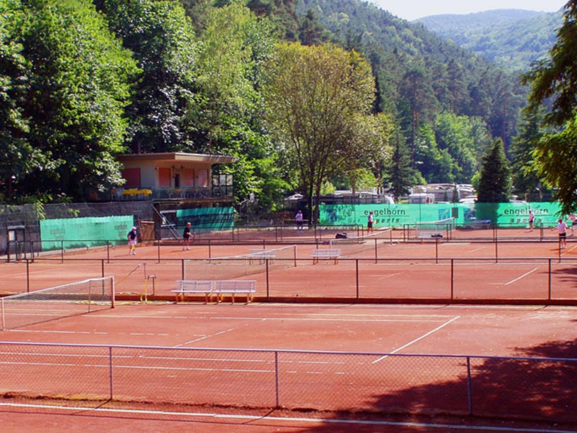 Hotel Goldbaechel Wachenheim an der Weinstraße Buitenkant foto